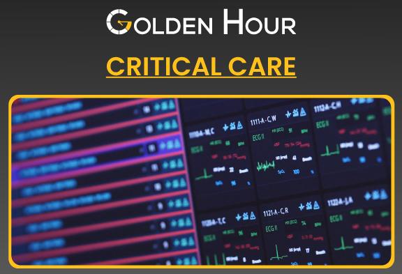 Tiki Cat Veterinary Solutions