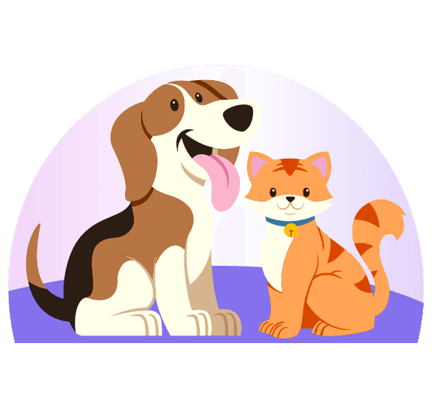 Your Furry Friend's Favorite Marketplace