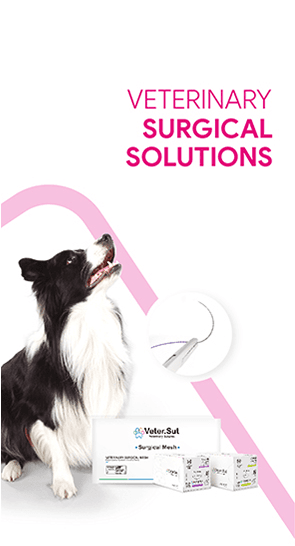 vendor-page-left-banner-1753101723.png