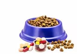 Nutraceuticals