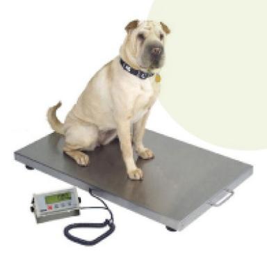 Counter Top Scales