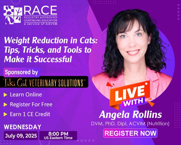 Weight Reduction in Cats: Tips, Tricks, and Tools to Make it Successful