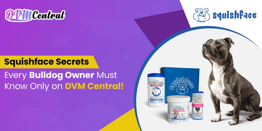 Squishface Secrets Every Bulldog Owner Must Know: Only on DVM Central!