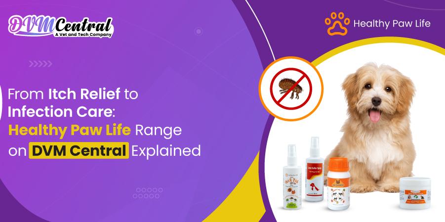 From Itch Relief to Infection Care: Healthy Paw Life Range on DVM Central Explained