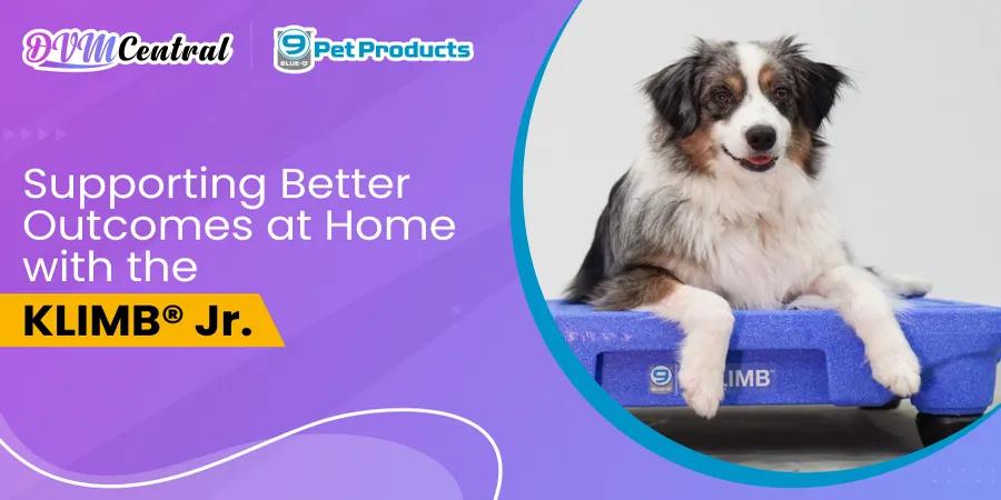 Supporting Better Outcomes at Home with the KLIMB Jr.