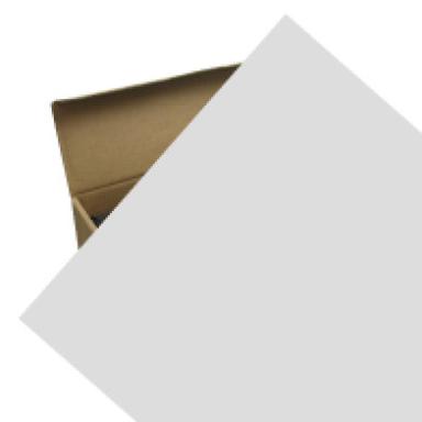 Cadaver Bags