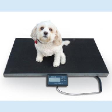 General Scales