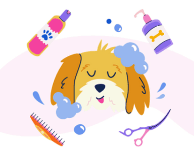 Grooming Equipment