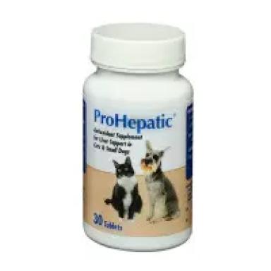 Liver Support