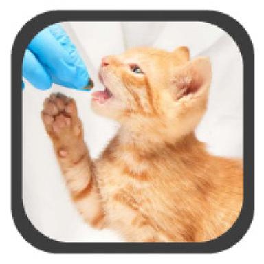 Medication Administration