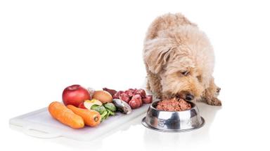 Other Foods