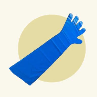 Surgeon's Gloves