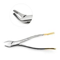 Dental Forceps