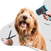 Pet / Vet Grooming