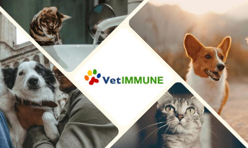 VetImmune