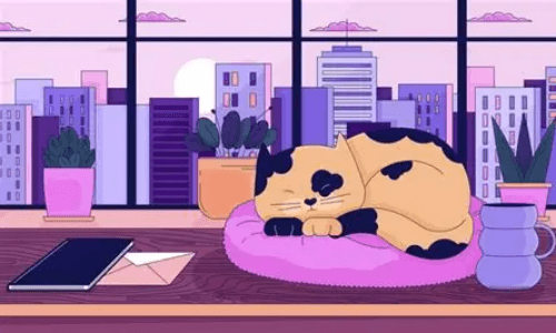 Fashion Forward Feline