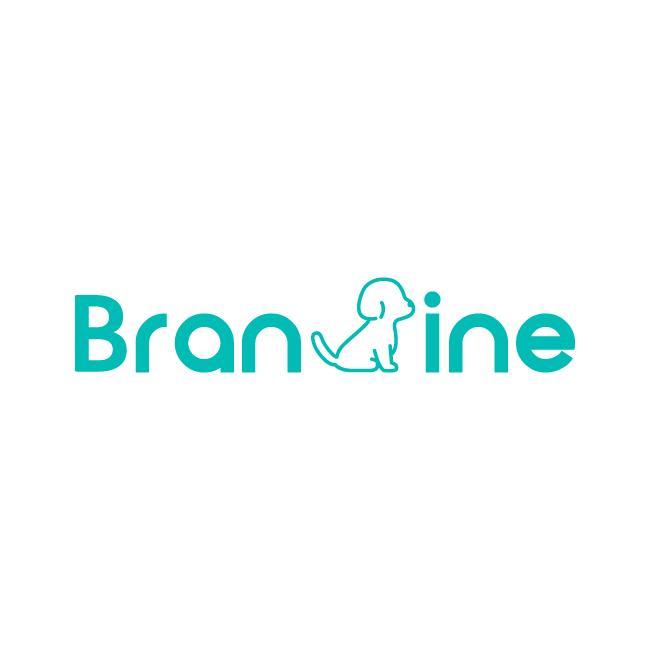 Branvine Inc