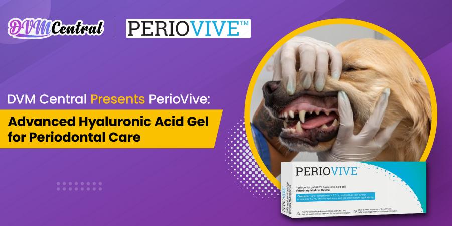 Why Veterinarians Trust PerioVive Products: A DVM Central Spotlight