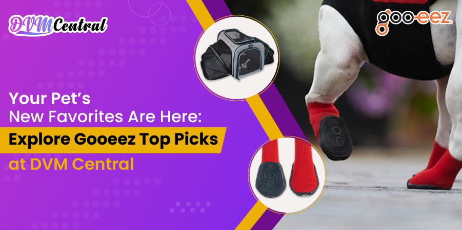 Your Pet’s New Favorites Are Here: Explore Gooeez Top Picks at DVM Central