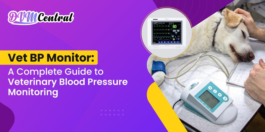 Vet BP Monitor: A Complete Guide to Veterinary Blood Pressure Monitoring
