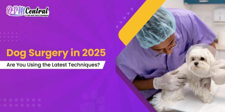 Dog Surgery in 2025: Are You Using the Latest Techniques?