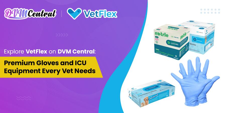 Explore VetFlex on DVM Central: Premium Gloves and ICU Equipment Every Vet Needs