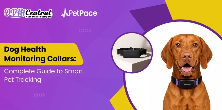Dog Health Monitoring Collars: Complete Guide to Smart Pet Tracking