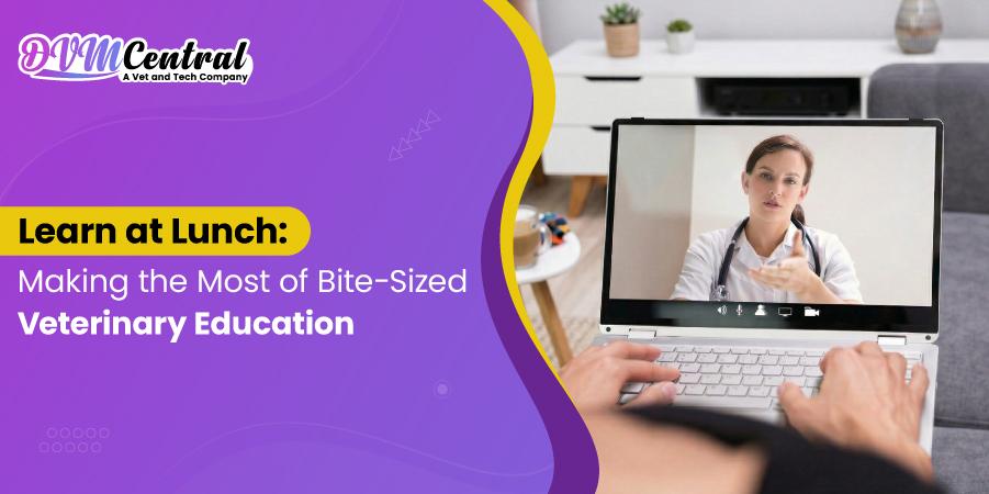 Learn at Lunch: Making the Most of Bite-Sized Veterinary Education