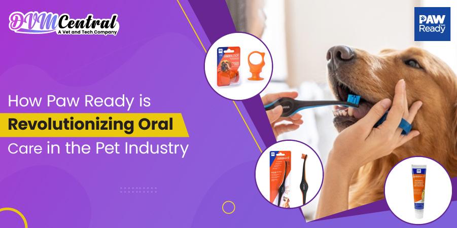 How Paw Ready is Revolutionizing Oral Care in the Pet Industry