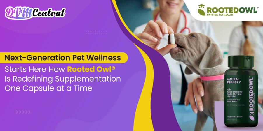 Next-Generation Pet Wellness Starts Here: How Rooted Owl® Is Redefining Supplementation