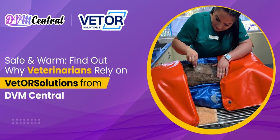 Safe & Warm - Find Out Why Veterinarians Rely on VetORSolutions from DVM Central