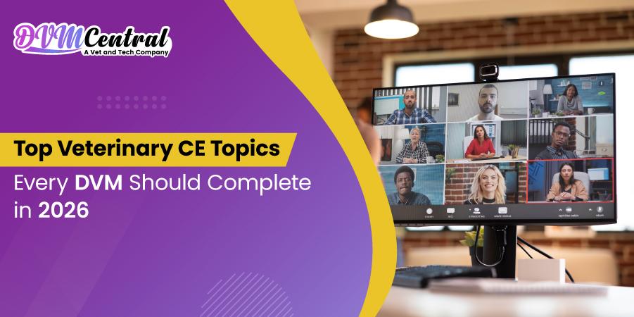 Top Veterinary CE Topics Every DVM Should Complete in 2026