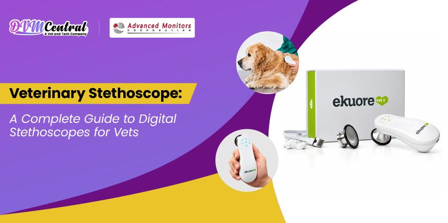 Veterinary Stethoscope: A Complete Guide to Digital Stethoscopes for Vets