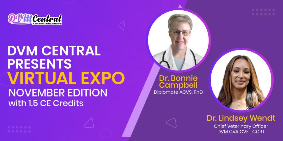 DVM Central Presents Virtual Expo, November Edition with 1.5 CE Credits