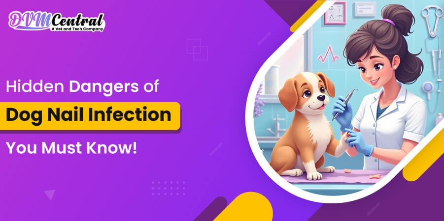 Hidden Dangers of Dog Nail Infection You Must Know!
