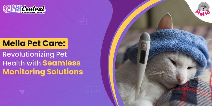 Mella Pet Care: Revolutionizing Pet Health with Seamless Monitoring Solutions