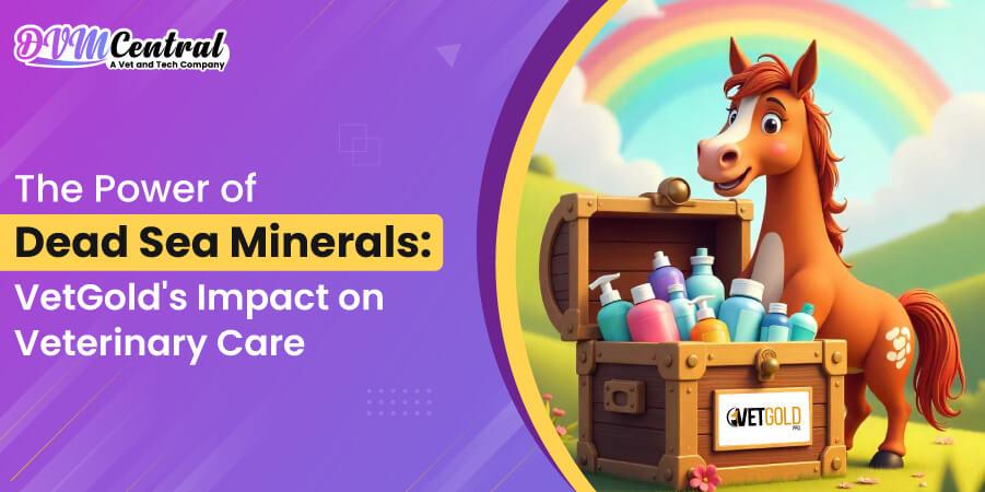 The Power of Dead Sea Minerals: VetGold’s Impact on Veterinary Care