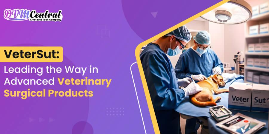 VeterSut: Leading the Way in Advanced Veterinary Surgical Products