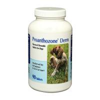 Proanthozone® Derm for Dogs