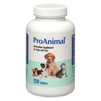 ProAnimal® Daily Immune Support