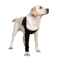 Black Sleeve For Dogs