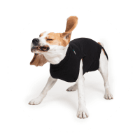 Black Suit For Dogs