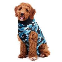 Blue Suit For Dogs