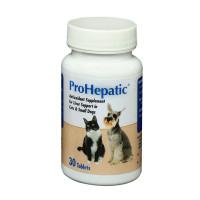 ProHepatic Antioxidant for Liver Support