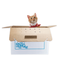 Disposable Pet Carrier, Cardboard, 12/Case