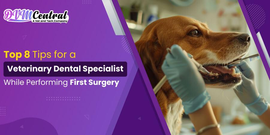 Key Tips Followed by Veterinary Dental Specialists for First Surgery